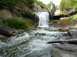 cataract waterfalls at forks of the credit provincial park ontario canada credit river