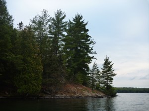 typical view at fairbank provincial park ontario canada