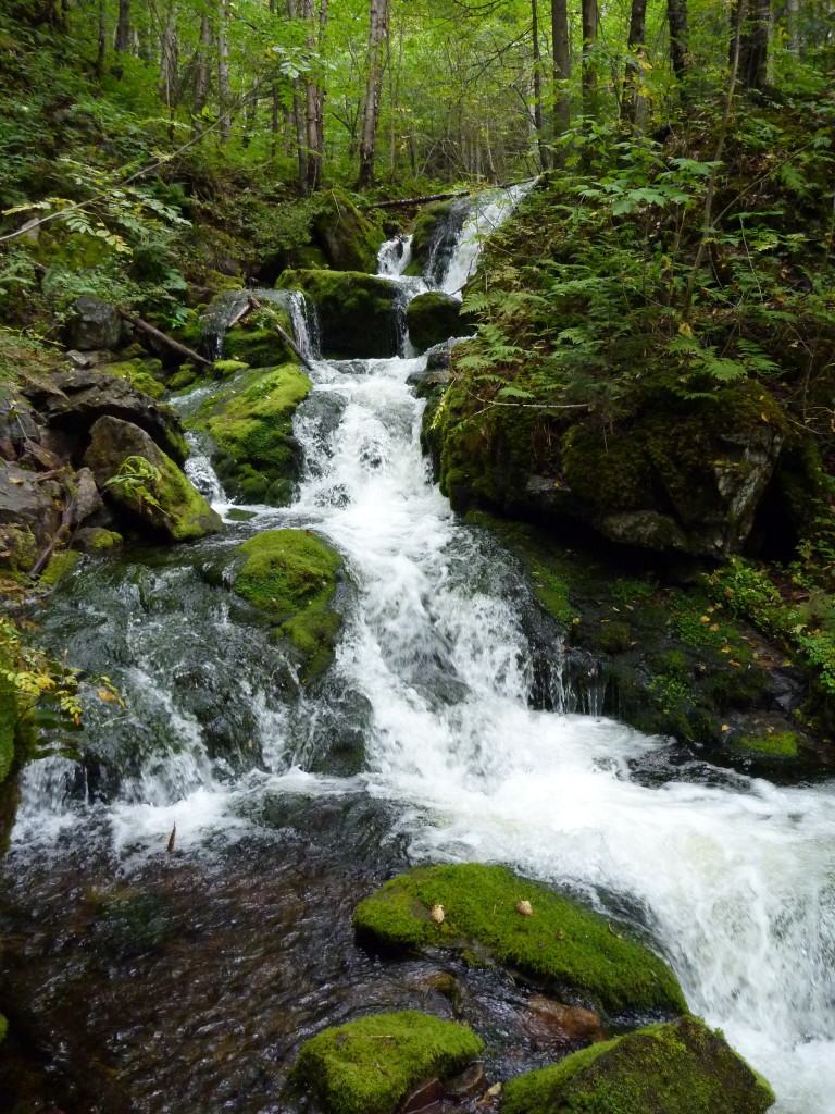 dry brook trail waterfall mount carleton provincial park new brunswick