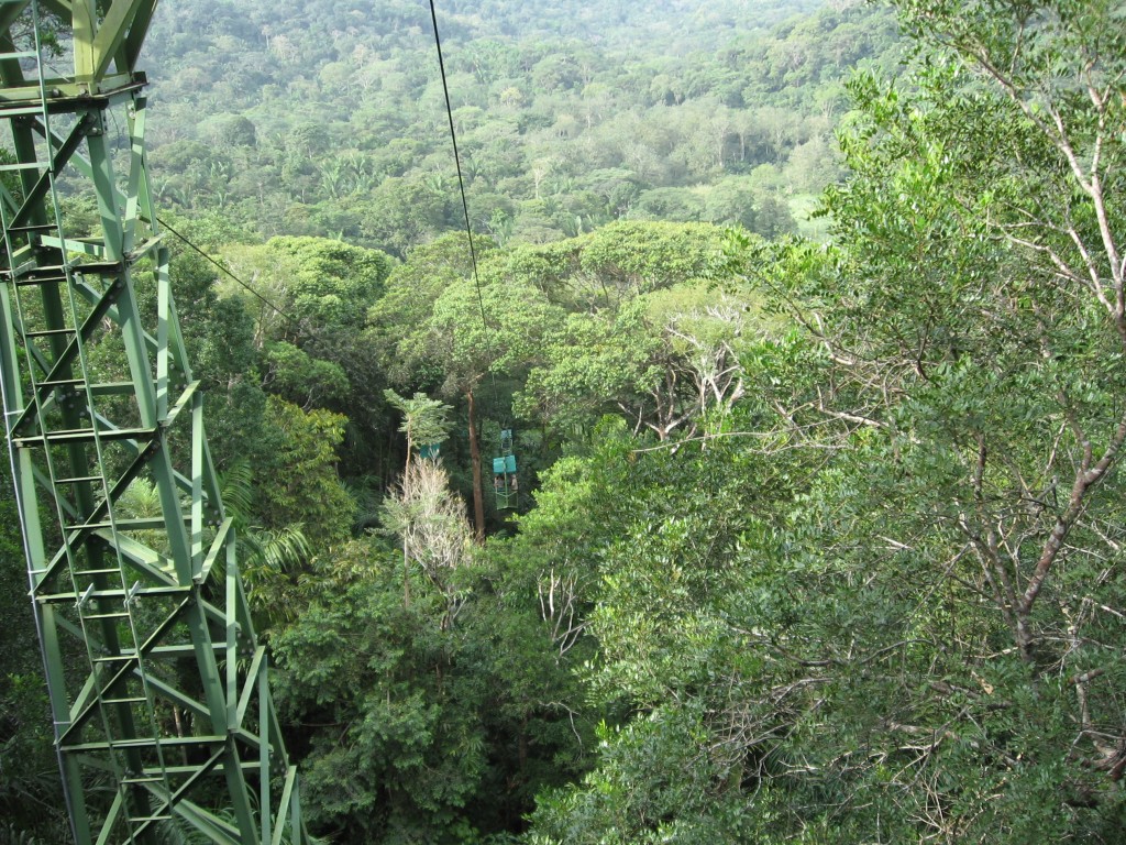 cable car to observation tower gamboa rainforest resort panama canal