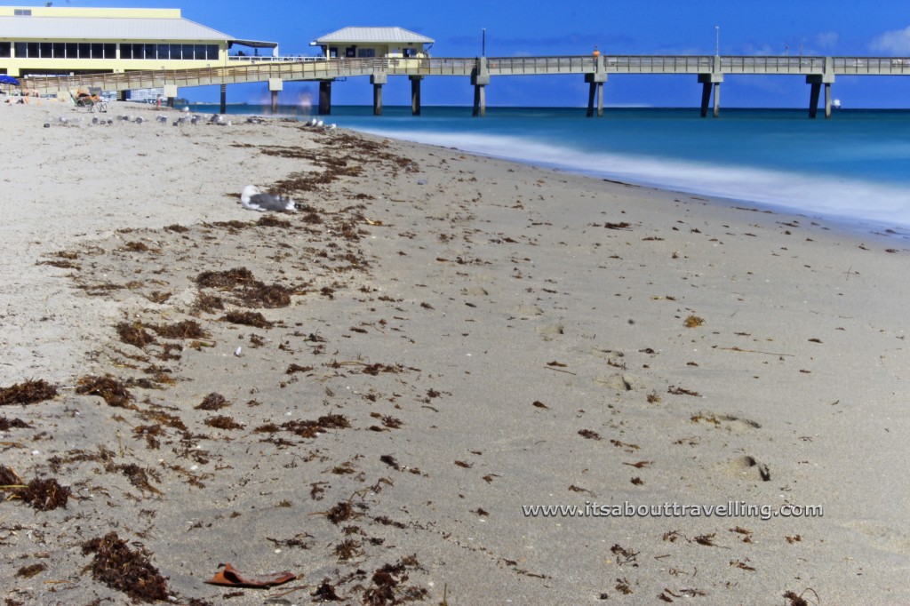 sandy beach at dania beach florida