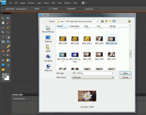 photoshop elements file open