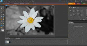 photoshop elements screenshot