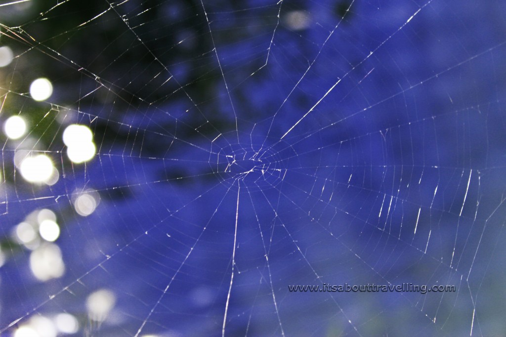 spider web dain city train lift bridge welland canal