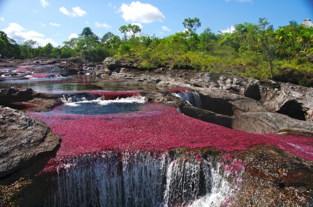 cano cristales colombia