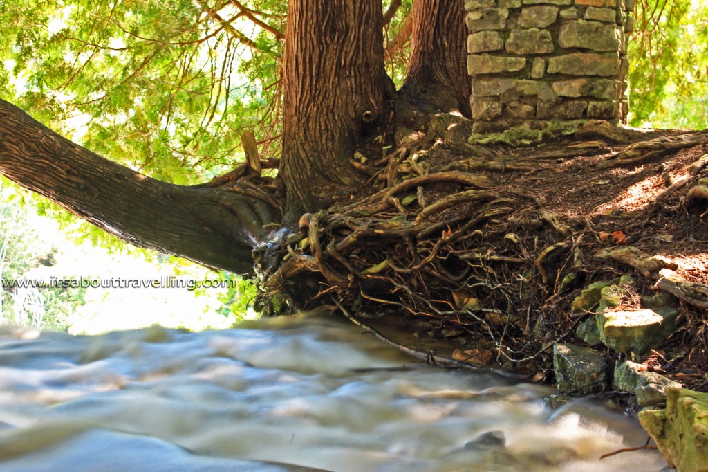 elora gorge conservation area grand river