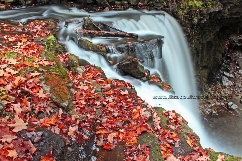 hilton falls conservation area