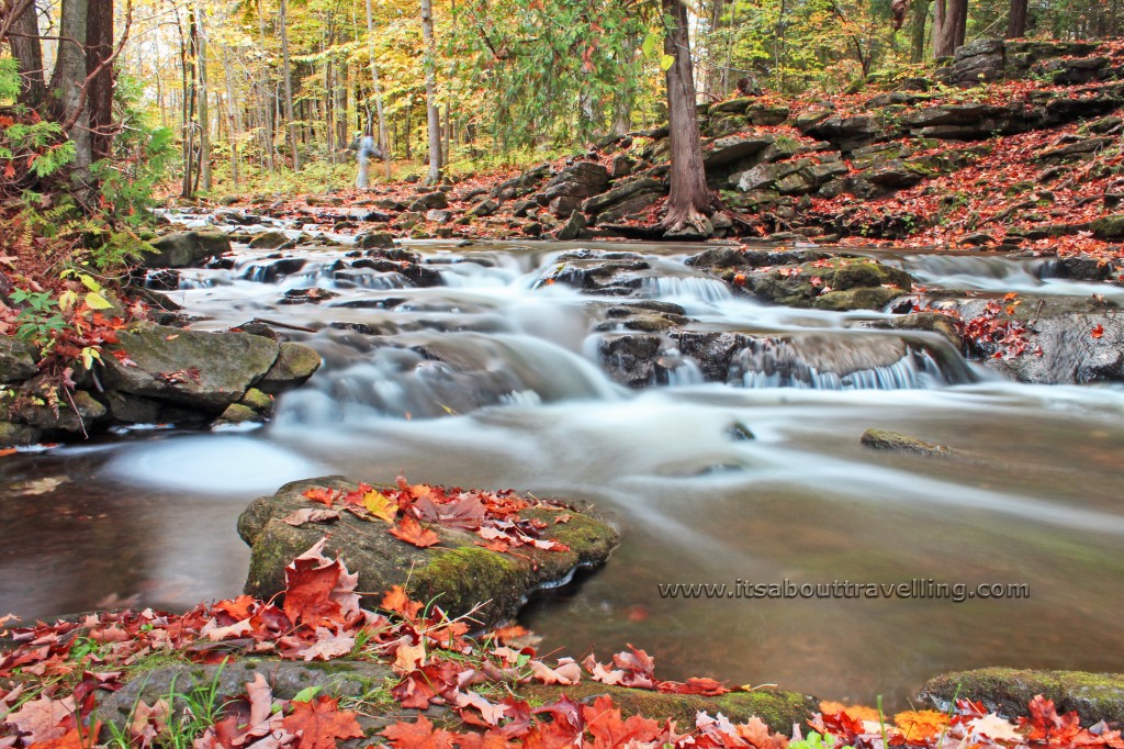 hilton falls conservation area