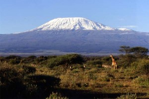 mt. kilimanjaro tanzania