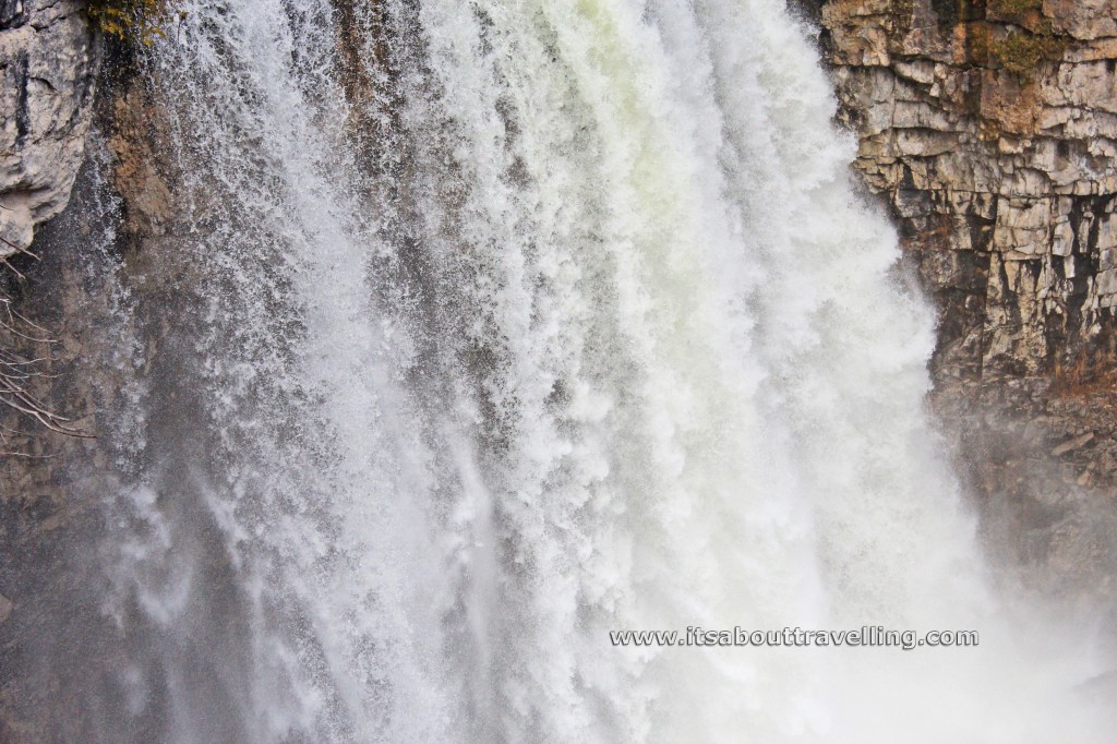 eugenia falls from north side