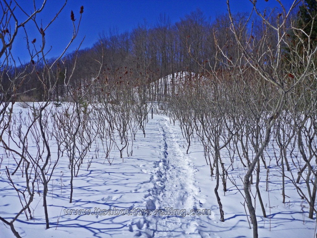 bruce trail through hockley valley