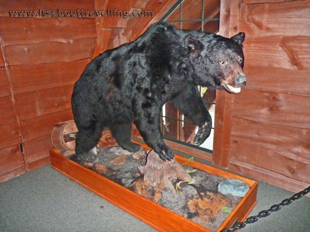 hope lake lodge lobby bear