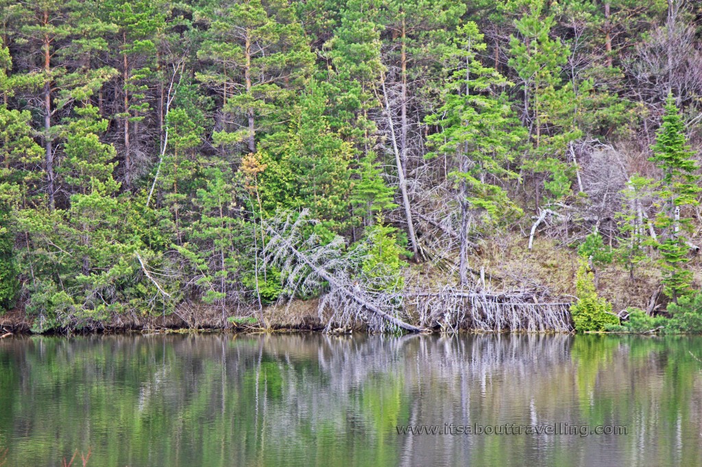 island lake vicki barron lakeside trail orangeville