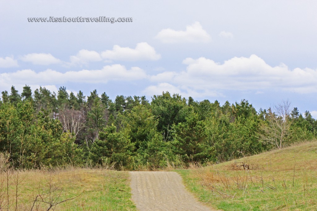 vicki barron lakeside trail island lake orangeville ontario