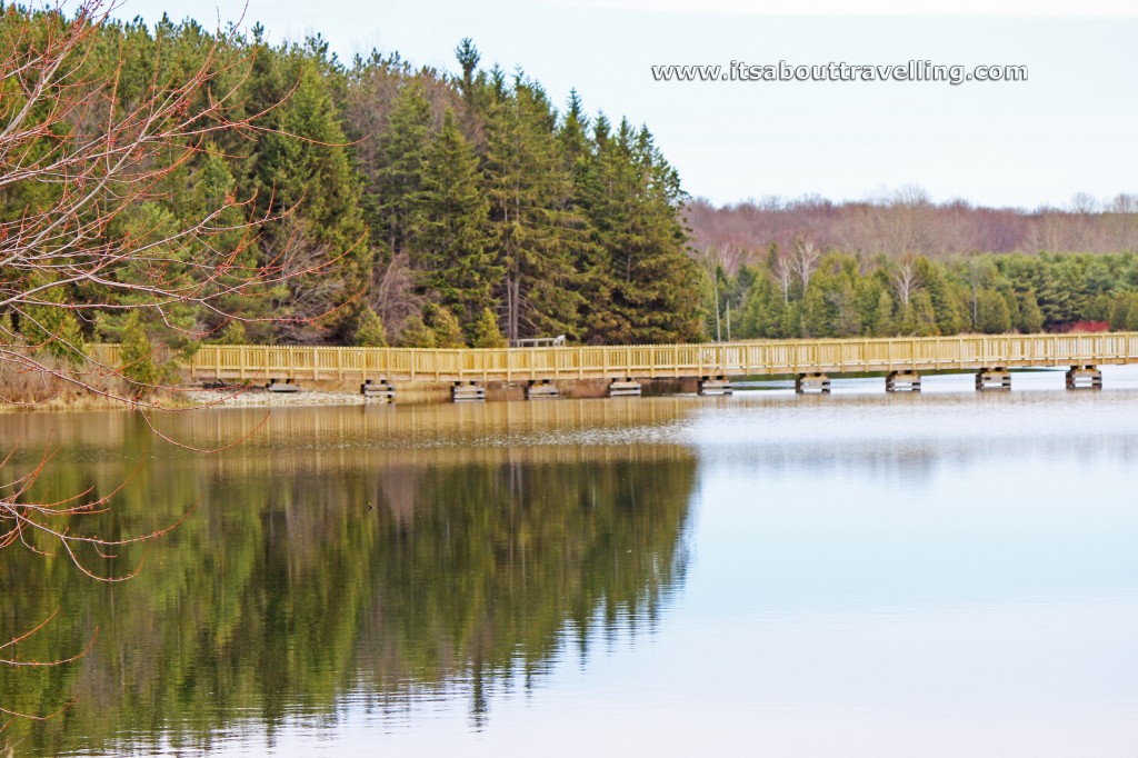 trail bridge island lake conservation area orangeville ontario