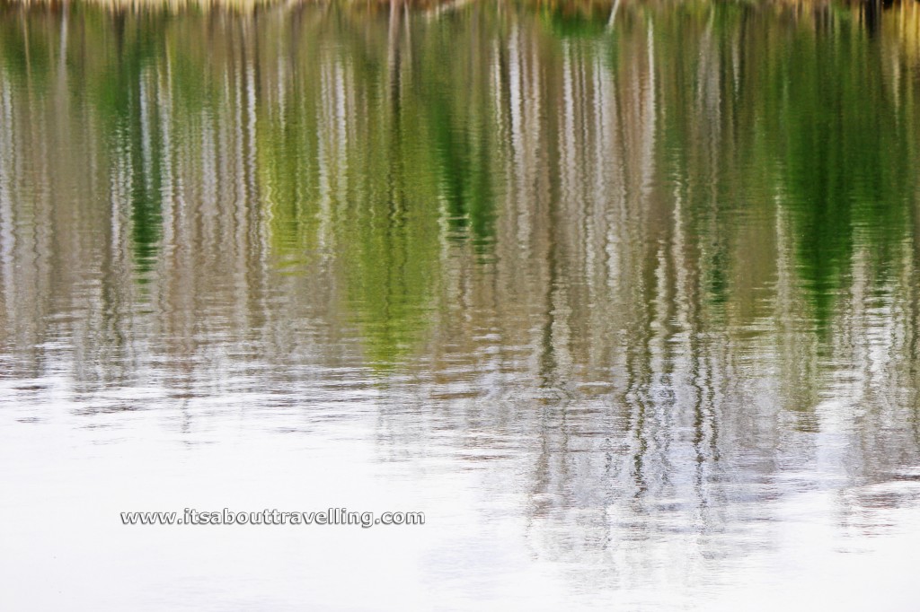 water reflections island lake orangeville ontario