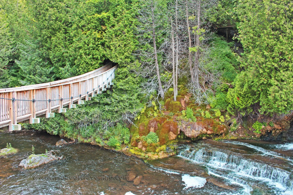 swing bridge belfountain conservation area