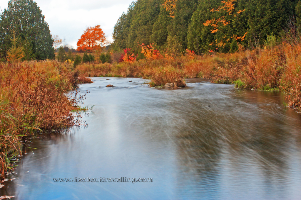 credit river alton autumn