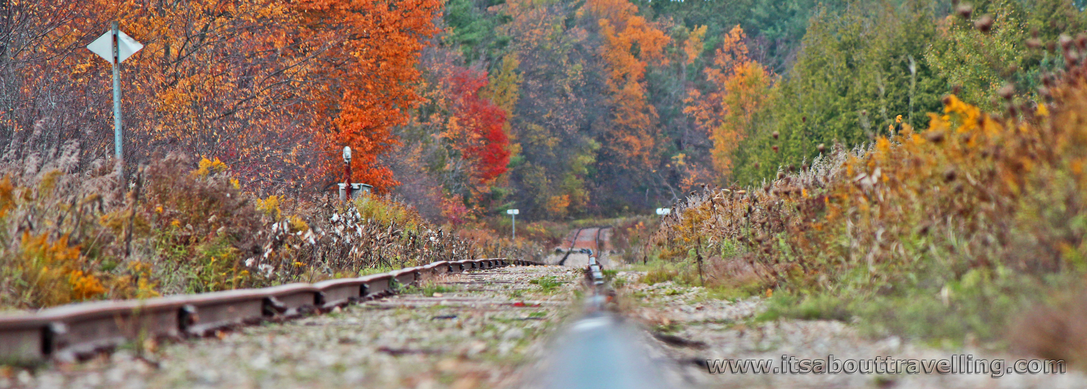 credit valley explorer railway autumn foliage
