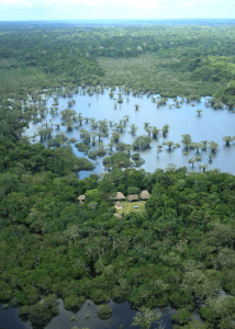 cuyabeno lodge ecuador