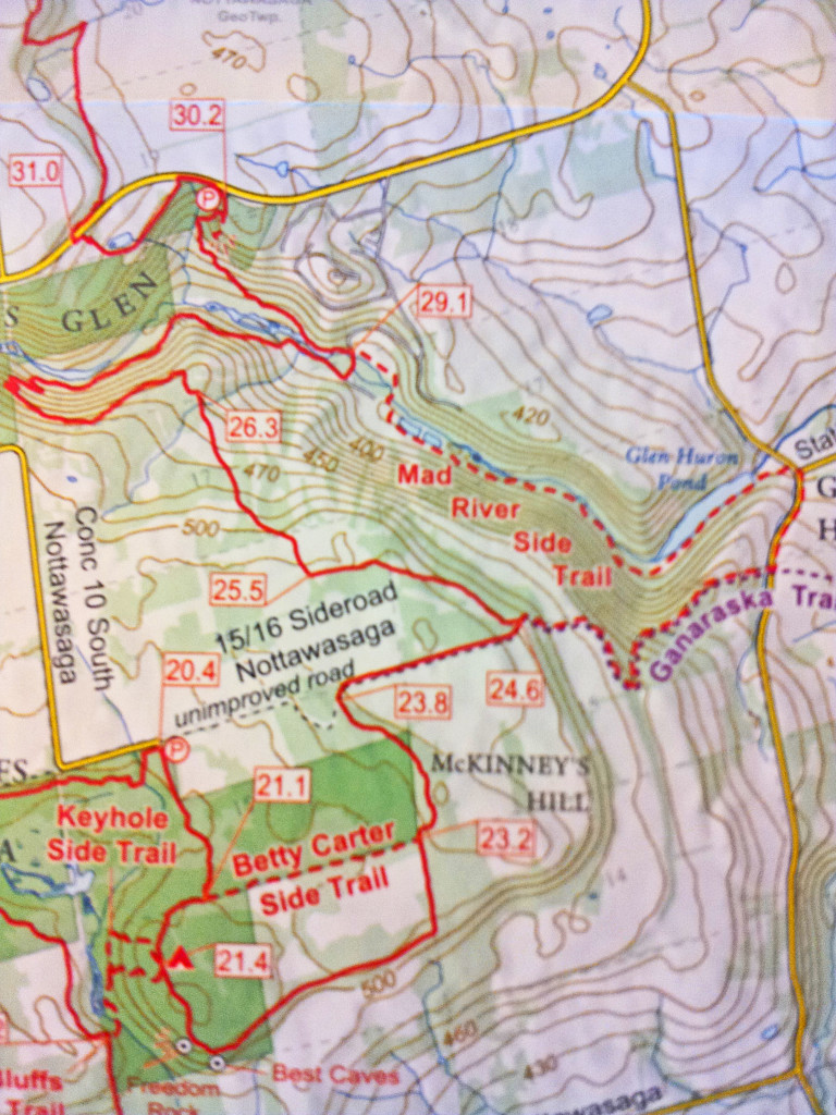 bruce trail devils glen trail map