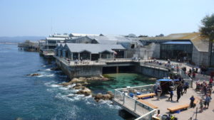 monterey bay aquarium monterey california