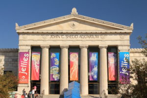 shedd aquarium chicago illinois