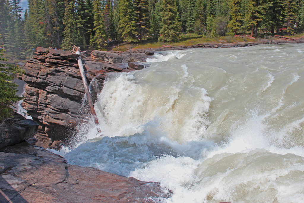 athabasca falls jasper national park