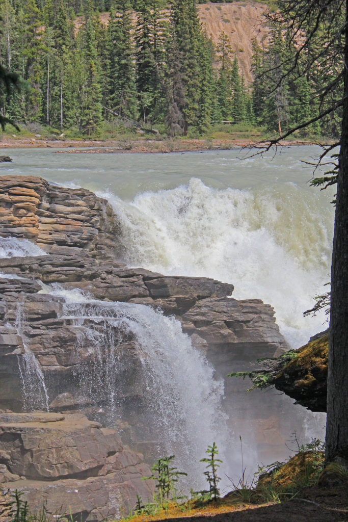 athabasca falls jasper national park