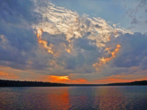 pine lake wood buffalo national park sunset