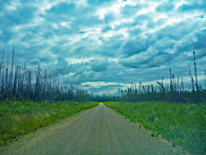 salt plains road wood buffalo national park