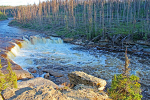 coral falls trout river northwest territories