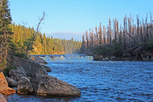 coral falls trout river northwest territories