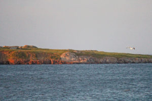 view of island in front of seabreeze campground and cottage nova scotia