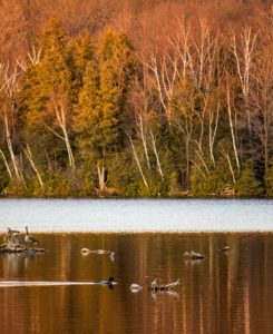 island lake conservation area orangeville ontario