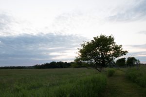 upper credit river conservation area