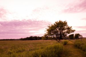 upper credit river conservation area