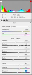 photoshop elements 14 raw editor settings