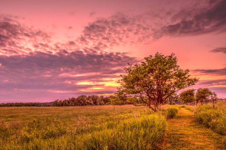 upper credit river conservation area