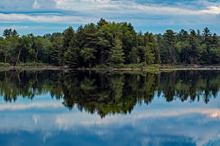 nogies creek ontario