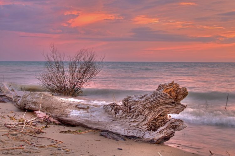 point farms lake huron sunset