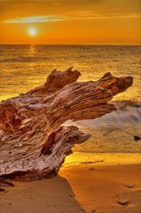 point farms lake huron sunset