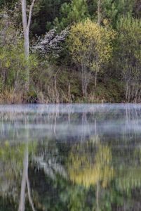 forks of the credit provincial park kettle lake