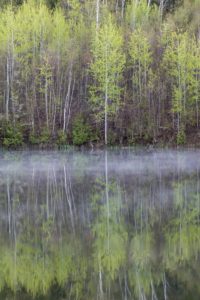 forks of the credit provincial park kettle lake