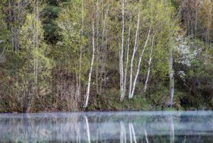 forks of the credit provincial park kettle lake