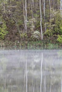 forks of the credit provincial park kettle lake