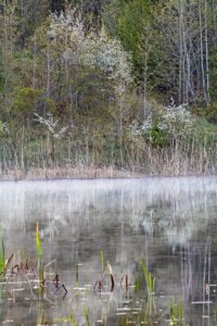 forks of the credit provincial park kettle lake