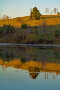 forks of the credit provincial park kettle lake