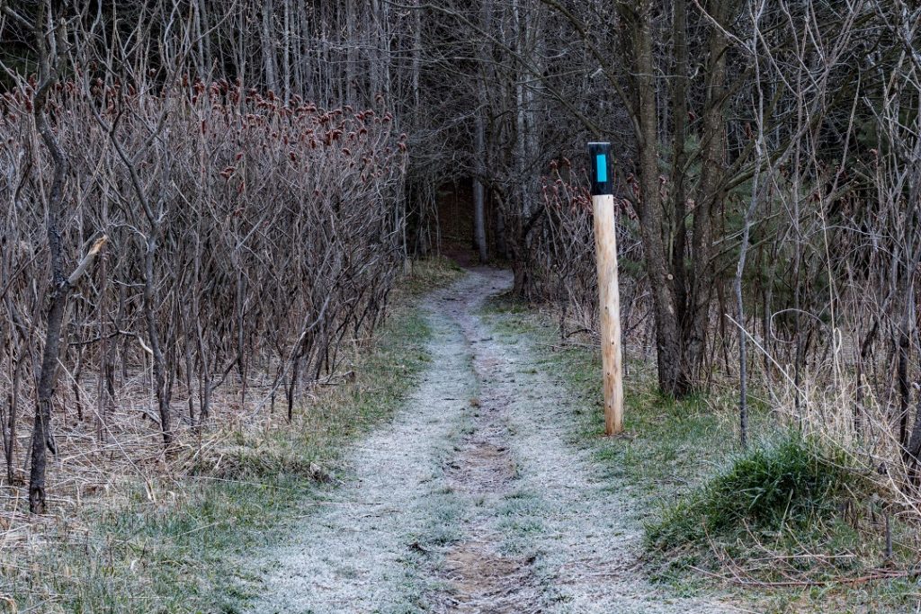 bruce trail