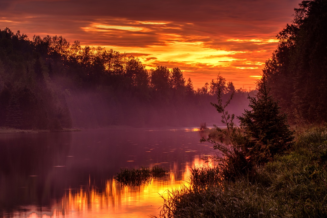 sunrise at pine river provincial fishing area